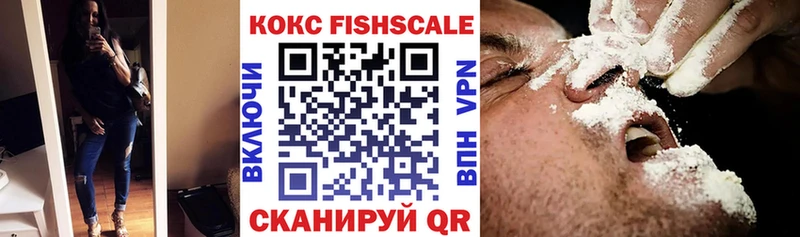darknet телеграм  Кудымкар  COCAIN Эквадор  сколько стоит 
