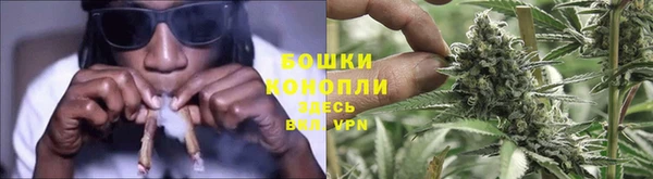 стафф Михайловск