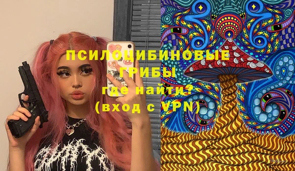 стафф Михайловск