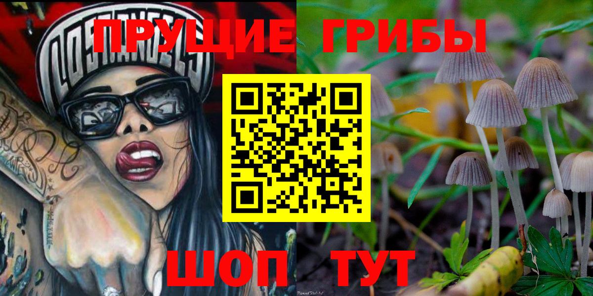 Кудымкар  Галлюциногенные грибы мухоморы  Вход с VPN 