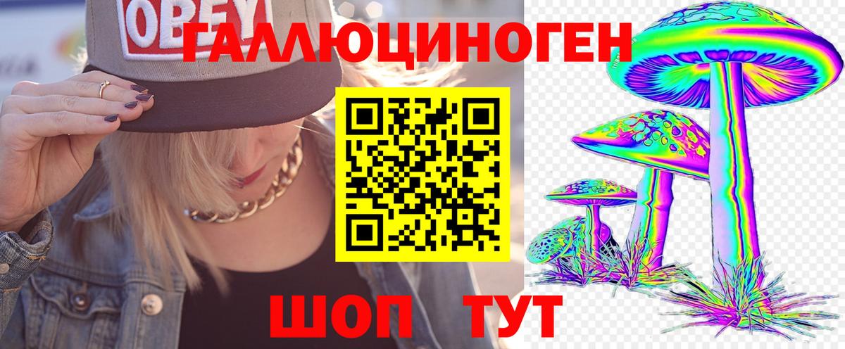 Псилоцибиновые грибы Psilocybe Кудымкар